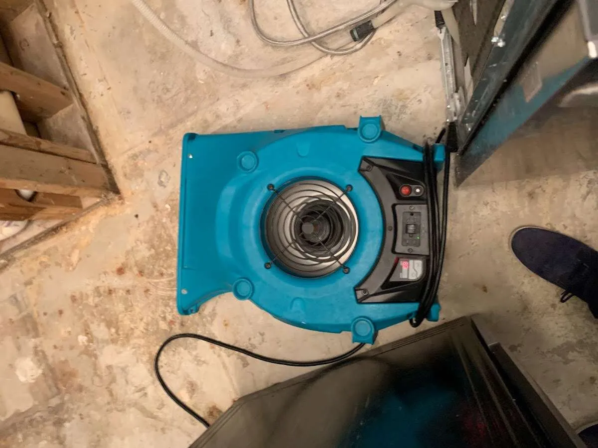 Air mover drying equipment for Mold Remediation & Removal in Whitemarsh Island